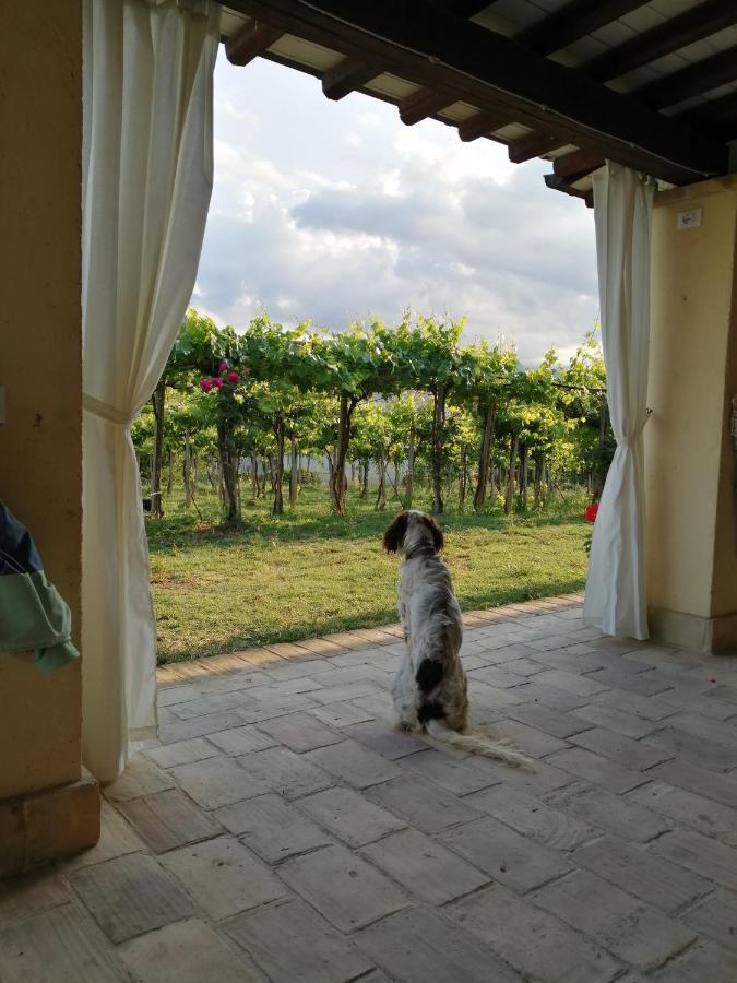 B&B Conca Del Pretore Loreto Aprutino Exterior foto